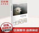 我在雨中等你傅辰百度网盘小 我在雨中等你傅宸
	
