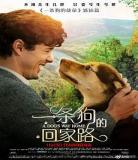 一条狗的回家路bt电影男 一条狗的回家路英文字幕bt